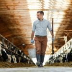 Agenor Vicente Pelissa