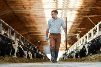 Agenor Vicente Pelissa