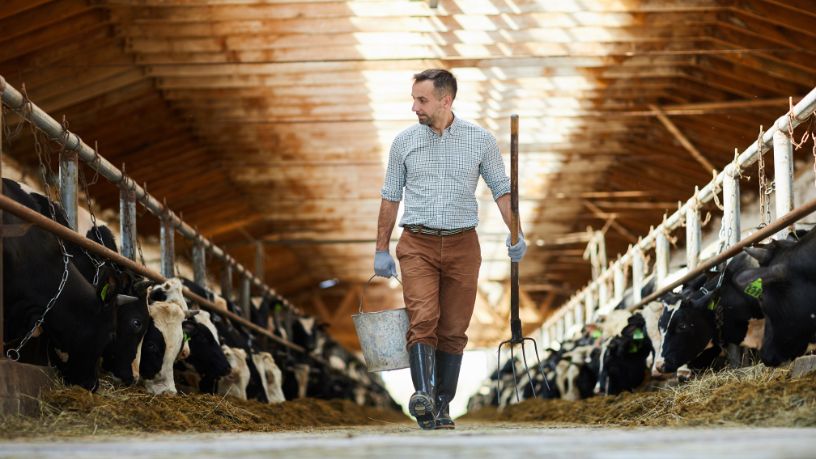 Agenor Vicente Pelissa