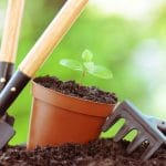 Paulo Augusto Berchielli