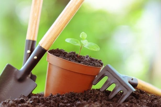 Paulo Augusto Berchielli